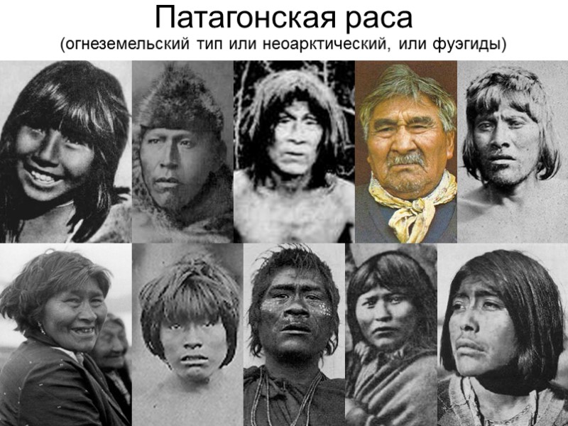 Патагонская раса (огнеземельский тип или неоарктический, или фуэгиды)